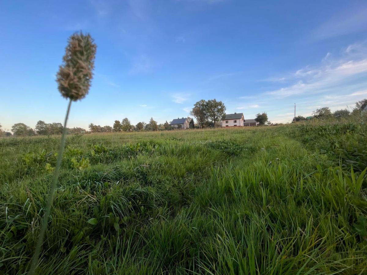 Kasztanówka - dom gościnny na Podlasiu, agroturystyka Szepietowo Zewnętrze zdjęcie